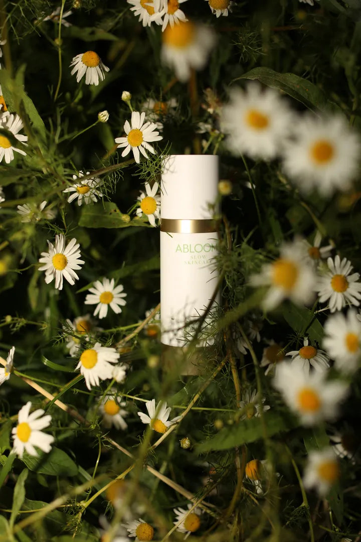 Organic Day Cream