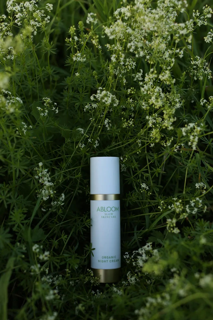 Organic Night Cream