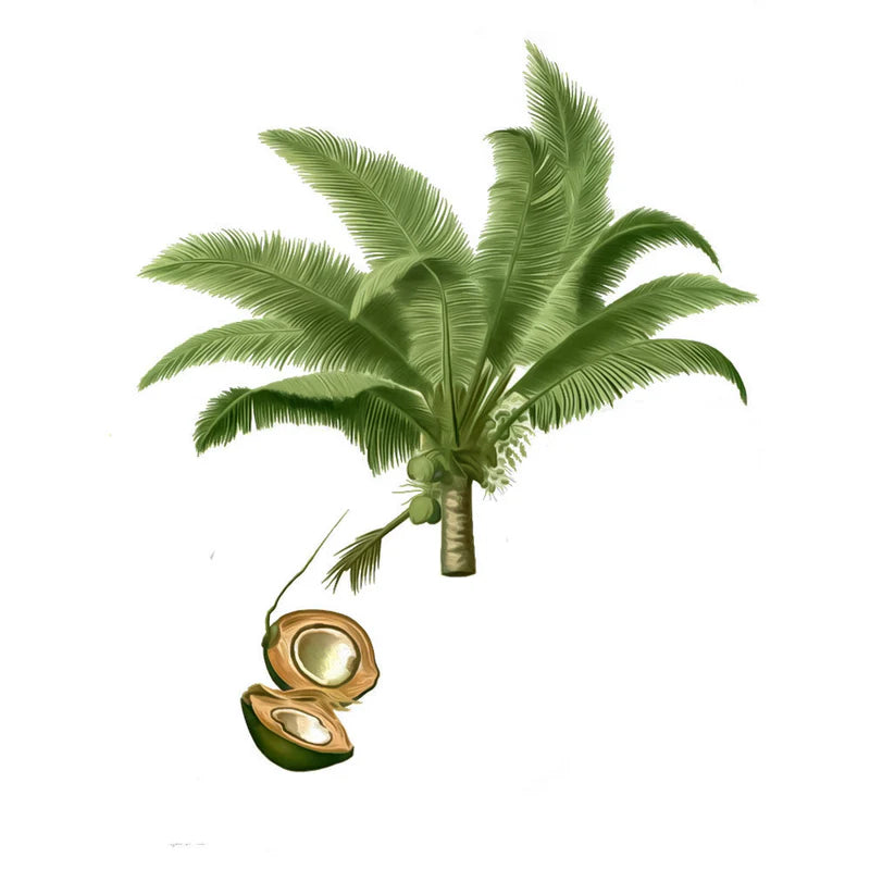 Aceite de Coco