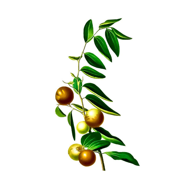 Camu Camu