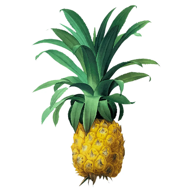 Bromelina